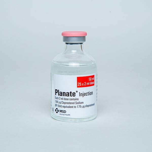 Planate Injection 20 ml. / 50 ml.