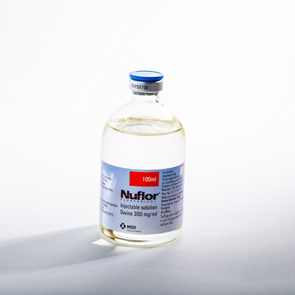 Nuflor Injection 100 ml.